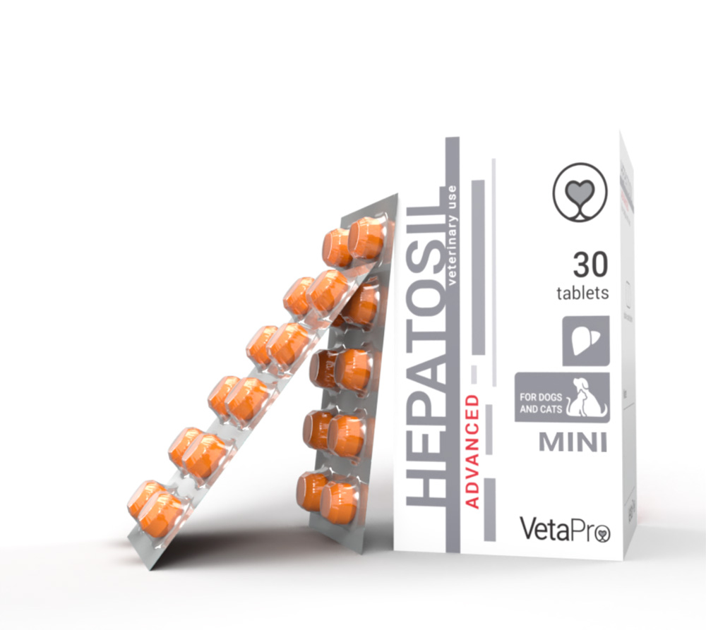 HEPATOSIL-ADVANCED-MINI.jpg